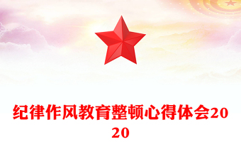 纪律作风教育整顿心得体会2020