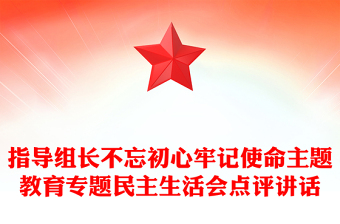 指导组长不忘初心牢记使命主题教育专题民主生活会点评讲话