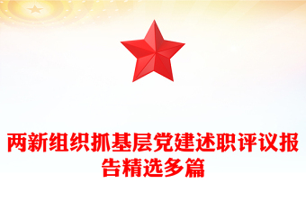两新组织抓基层党建述职评议报告精选多篇
