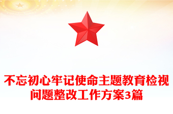 不忘初心牢记使命主题教育检视问题整改工作方案3篇