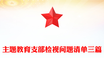 主题教育支部检视问题清单三篇