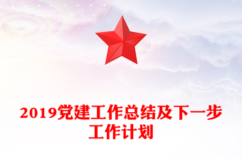 2019党建工作总结及下一步工作计划