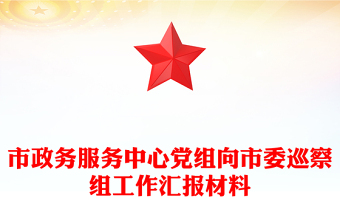 市政务服务中心党组向市委巡察组工作汇报材料
