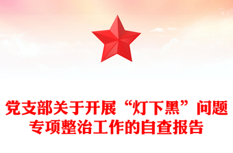 党支部关于开展“灯下黑”问题专项整治工作的自查报告