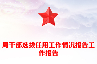 局干部选拔任用工作情况报告工作报告