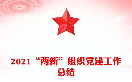 2021“两新”组织党建工作总结