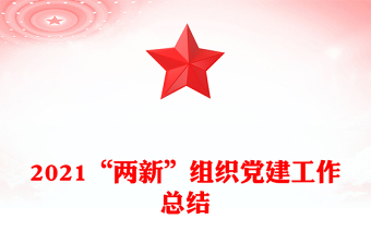 2021“两新”组织党建工作总结