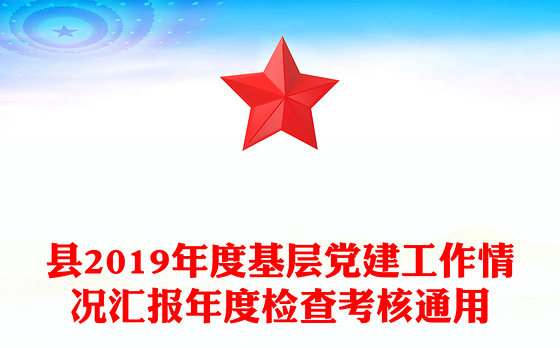 县2019年度基层党建工作情况汇报年度检查考核通用