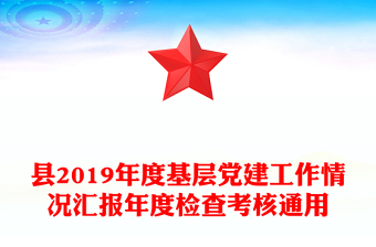 县2019年度基层党建工作情况汇报年度检查考核通用