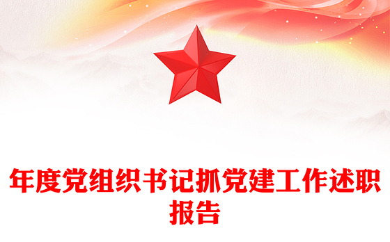 年度党组织书记抓党建工作述职报告