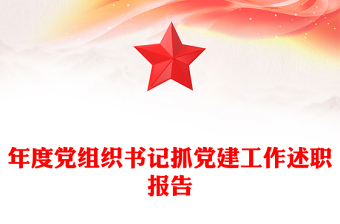 年度党组织书记抓党建工作述职报告