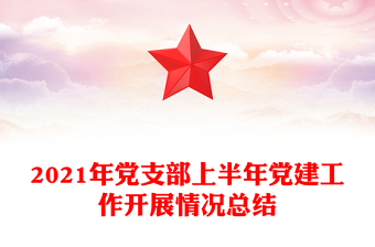 2021年党支部上半年党建工作开展情况总结