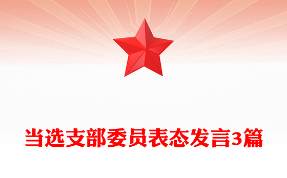 当选支部委员表态发言3篇