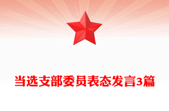 当选支部委员表态发言3篇