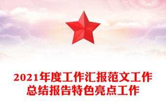 2021年度工作汇报范文工作总结报告特色亮点工作