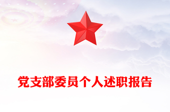 党支部委员个人述职报告