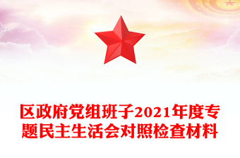 区政府党组班子2021年度专题民主生活会对照检查材料