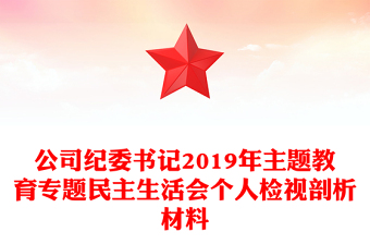 公司纪委书记2019年主题教育专题民主生活会个人检视剖析材料