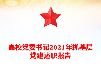 高校党委书记2021年抓基层党建述职报告