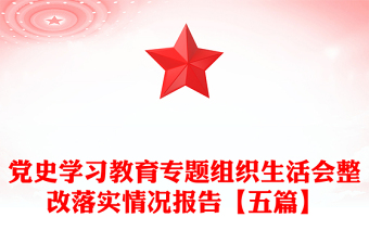 党史学习教育专题组织生活会整改落实情况报告【五篇】