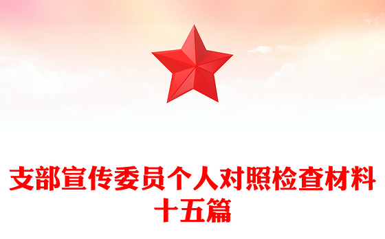 支部宣传委员个人对照检查材料十五篇