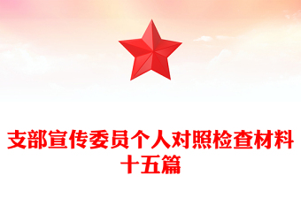 支部宣传委员个人对照检查材料十五篇