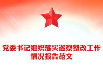党委书记组织落实巡察整改工作情况报告范文