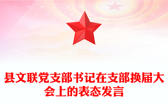 县文联党支部书记在支部换届大会上的表态发言