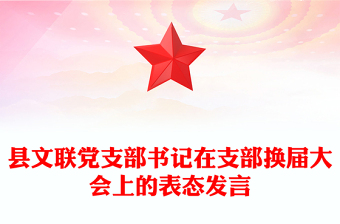 县文联党支部书记在支部换届大会上的表态发言