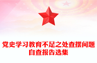 党史学习教育自查报告