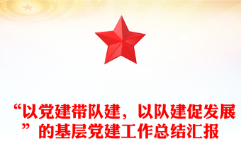 “以党建带队建，以队建促发展”的基层党建工作总结汇报