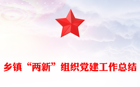 乡镇“两新”组织党建工作总结