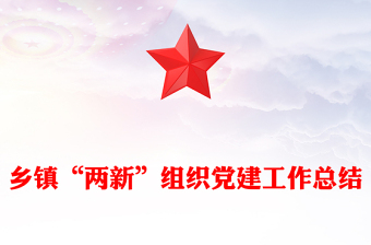 乡镇“两新”组织党建工作总结