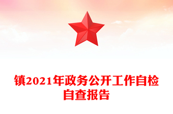 镇2021年政务公开工作自检自查报告