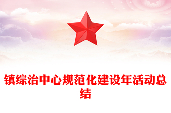 镇综治中心规范化建设年活动总结