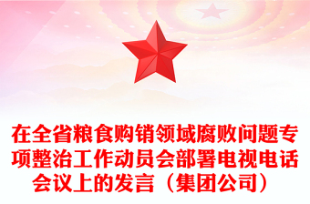 在全省粮食购销领域腐败问题专项整治工作动员会部署电视电话会议上的发言（集团公司）