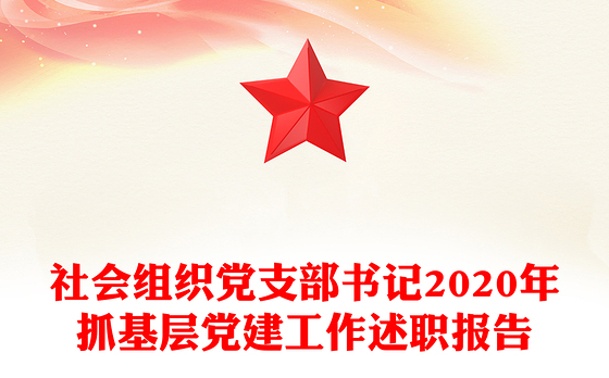 社会组织党支部书记2020年抓基层党建工作述职报告