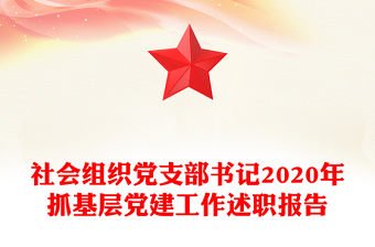 社会组织党支部书记2020年抓基层党建工作述职报告
