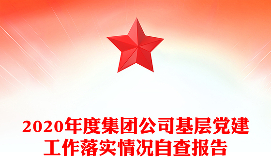 2023灯塔党建平台自查情况总结