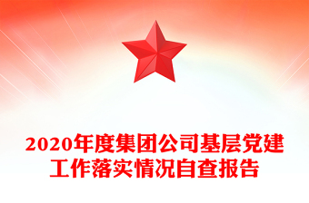 2020年度集团公司基层党建工作落实情况自查报告