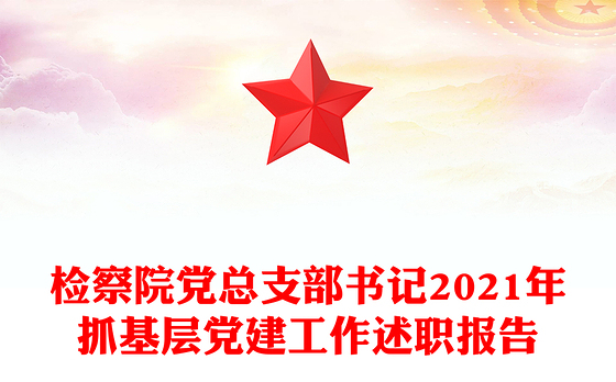 检察院党总支部书记2021年抓基层党建工作述职报告