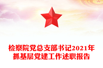 检察院党总支部书记2021年抓基层党建工作述职报告