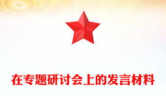 在专题研讨会上的发言材料
