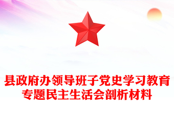 县政府办领导班子党史学习教育专题民主生活会剖析材料
