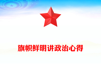 旗帜鲜明讲政治心得