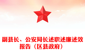 副县长、公安局长述职述廉述效报告（区县政府）