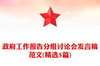 政府工作报告分组讨论会发言稿范文(精选5篇)