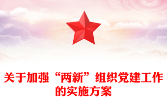 关于加强“两新”组织党建工作的实施方案