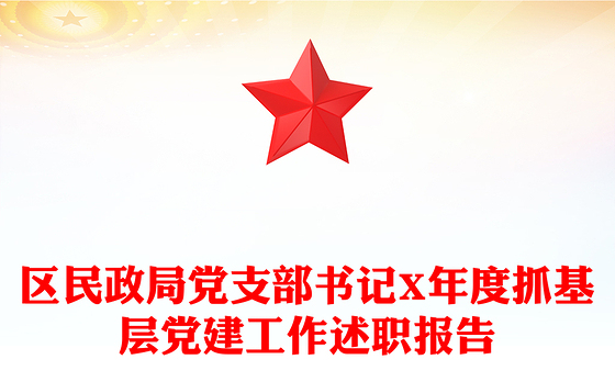 区民政局党支部书记X年度抓基层党建工作述职报告