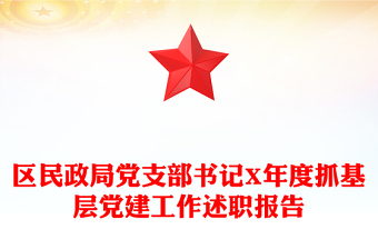 区民政局党支部书记X年度抓基层党建工作述职报告